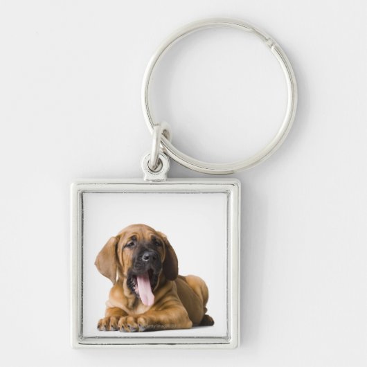 Puppy Dog 2 Sleutelhanger (Voorkant)