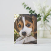 Puppy Dog Beagle Briefkaart (Staand voorkant)