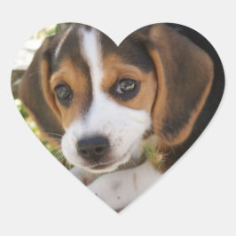 Puppy Dog Beagle Hart Sticker
