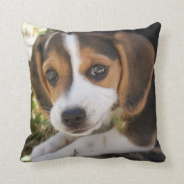 Puppy Dog Beagle Kussen