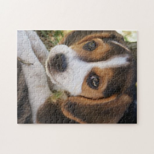 Puppy Dog Beagle   Legpuzzel (Horizontaal)