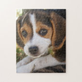 Puppy Dog Beagle Legpuzzel (Verticaal)
