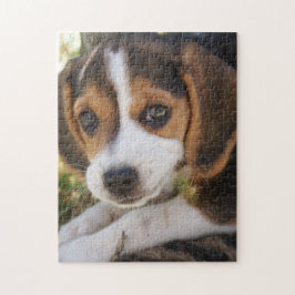 Puppy Dog Beagle   Legpuzzel