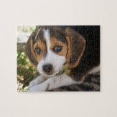 Puppy Dog Beagle Legpuzzel (Horizontaal)