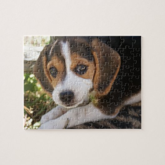Puppy Dog Beagle Legpuzzel (Horizontaal)