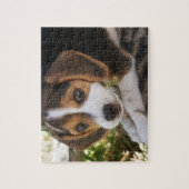 Puppy Dog Beagle Legpuzzel (Verticaal)