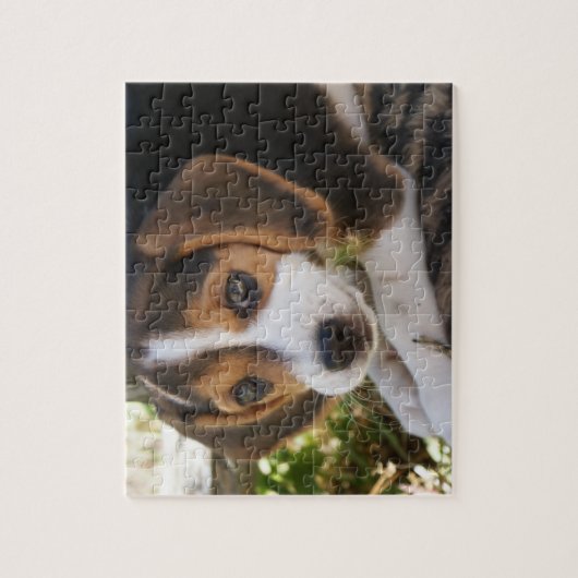 Puppy Dog Beagle Legpuzzel (Verticaal)