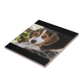 Puppy Dog Beagle Tegeltje (Zijkant)