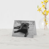 Puppy Dog Black & White Blank-briefkaart Kaart (Gele Bloem)