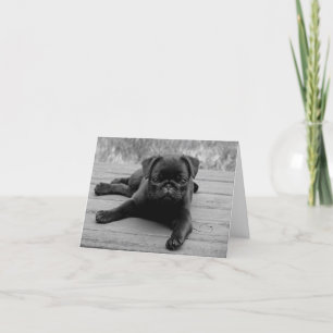 Puppy Dog Black & White Blank-briefkaart Kaart