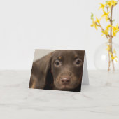 Puppy Dog Blank Note Kaart (Gele Bloem)
