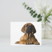 Puppy Dog Briefkaart (Staand voorkant)