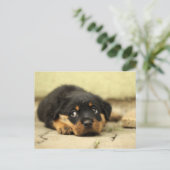 Puppy dog briefkaart (Staand voorkant)