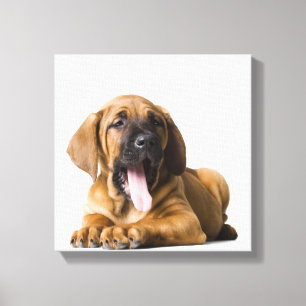 Puppy Dog Canvas Afdruk