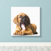 Puppy Dog Canvas Afdruk (Insitu (Houten vloer))