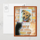 Puppy dog, cats, Gezocht poster postkaart (Voorkant / Achterkant)