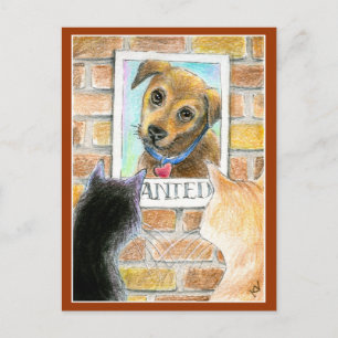 Puppy dog, cats, Gezocht poster postkaart