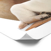 Puppy Dog Christelijke posters (Hoek)