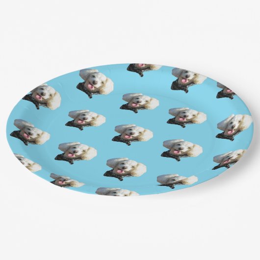 Puppy Dog Custom Foto Patroon Papieren Bordje (Gekanteld)