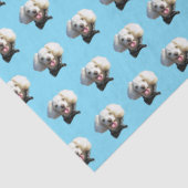 Puppy Dog Custom Foto Patroon Tissuepapier (Detail)