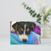 Puppy Dog Eyes Briefkaart (Staand voorkant)