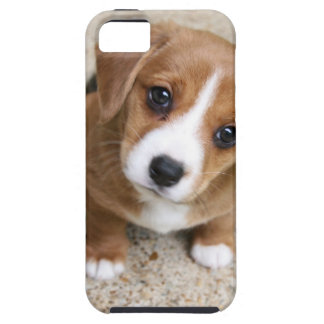Puppy Dog Eyes Tough iPhone 5 Hoesje