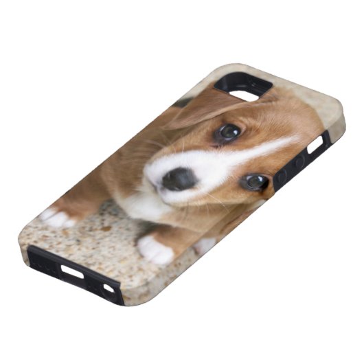 Puppy Dog Eyes Case-Mate iPhone Case (Onderkant)