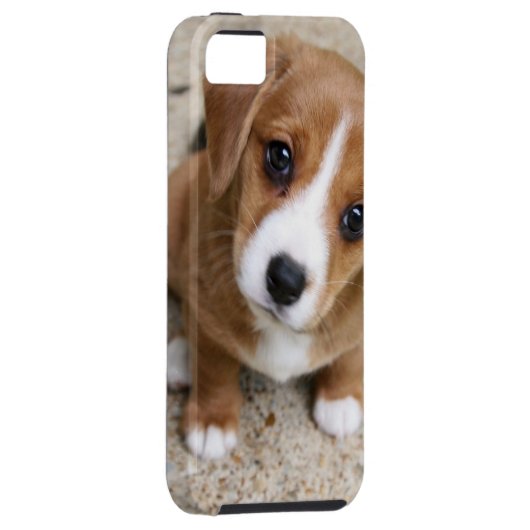 Puppy Dog Eyes Case-Mate iPhone Case (Back/Rechts)