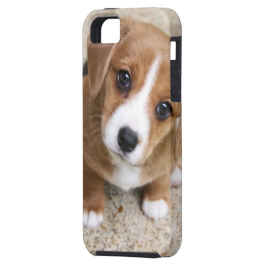 Puppy Dog Eyes Case-Mate iPhone Case (Achterkant Links)
