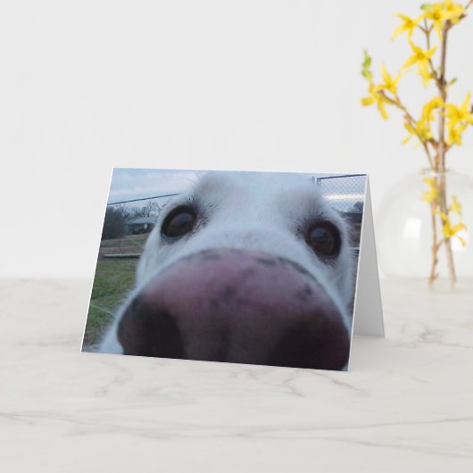 Puppy Dog Face Kaart (Gele Bloem)