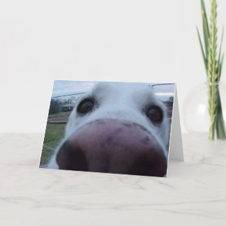 Puppy Dog Face Kaart