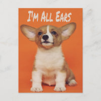 Puppy Dog Ik ben allemaal oorlogen, Cute Meme