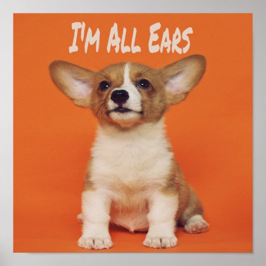 Puppy Dog Ik ben allemaal oorlogen, Cute Meme Poster (Voorkant)