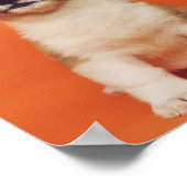 Puppy Dog Ik ben allemaal oorlogen, Cute Meme Poster (Hoek)