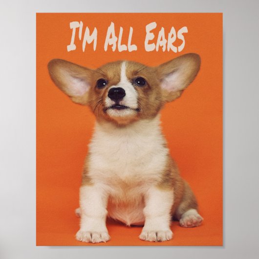 Puppy Dog Ik ben allemaal oorlogen, Cute Meme Poster (Voorkant)