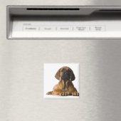 Puppy Dog Magneet (Insitu (Vaatwasser))