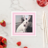 Puppy dog met paasmaaltijd roze servet (Insitu)