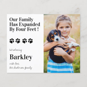 Puppy Dog New Pet Announance van de Foto van het b