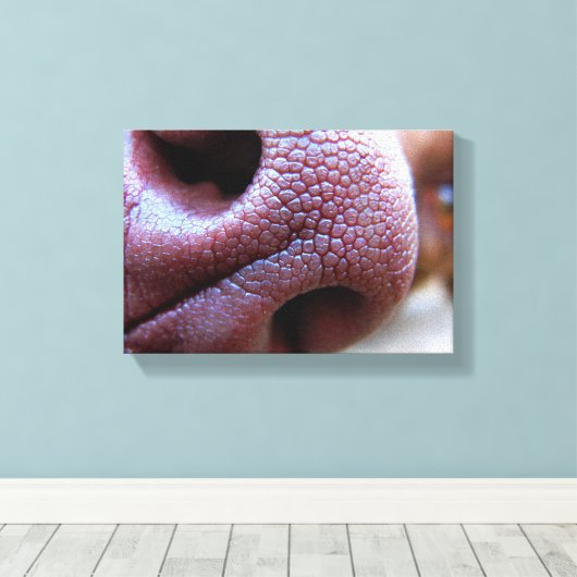 Puppy Dog Nose Canvas Afdruk (Insitu (Houten vloer))