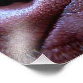 Puppy Dog Nose Foto Afdruk (Hoek)