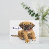 Puppy dog ogen briefkaart (Staand voorkant)