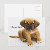 Puppy dog ogen briefkaart (Voorkant / Achterkant)