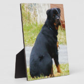 Puppy-dog-ogen Fotoplaat (Zijkant)