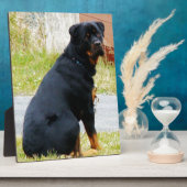 Puppy-dog-ogen Fotoplaat (Zijkant)