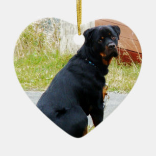 Puppy-dog-ogen Keramisch Ornament