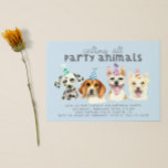Puppy Dog Party Animals Kaart<br><div class="desc">Een feestelijke uitnodiging voor de verjaardag van je kind. Het is een waterverf illustratie van honden - dalmatiaan,  beagle,  pit stier doodsbang. Ze dragen allemaal petten. De tekst boven staat "alle partijdieren bellen" en de partijinformatie is onder de honden. De tekst is gemakkelijk online editable.</div>