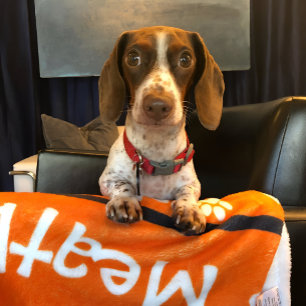 Puppy Dog Paw Print Blanket Add Doggie Name Fleece Deken