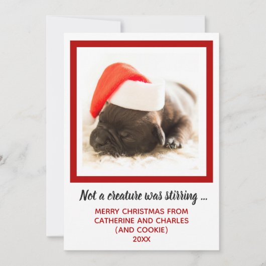 Puppy Dog Photo Pet Feestdagenkaart (Voorkant)