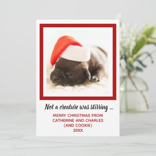 Puppy Dog Photo Pet Feestdagenkaart (Staand voorkant)