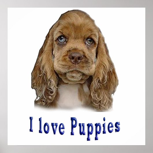 Puppy Dog Poster (Voorkant)